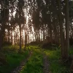 Agroturismo El Piensu Villaviciosa (Asturias)
