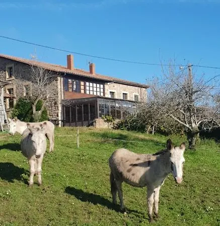 Feriegård El Piensu Villaviciosa (Asturias)