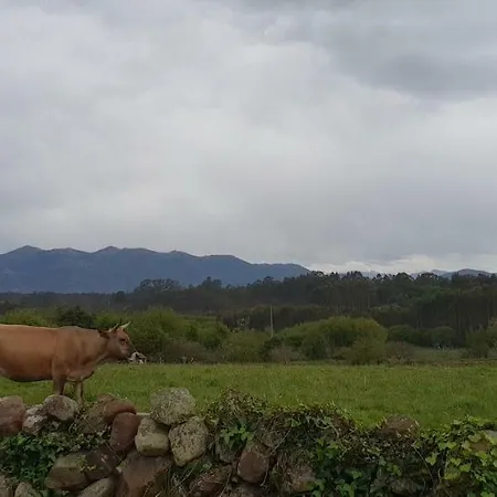 El Piensu * Villaviciosa (Asturias)