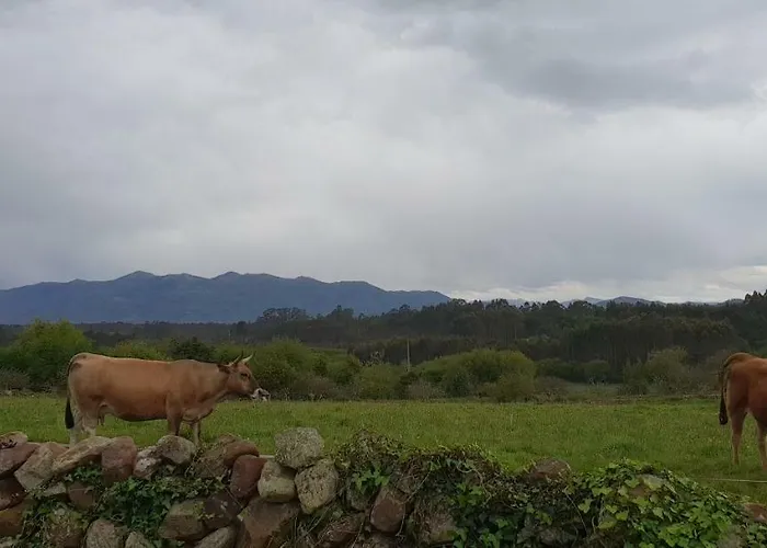 El Piensu * Villaviciosa (Asturias)