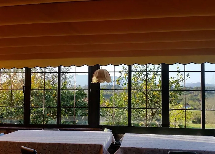 El Piensu Bauernhof Villaviciosa (Asturias)