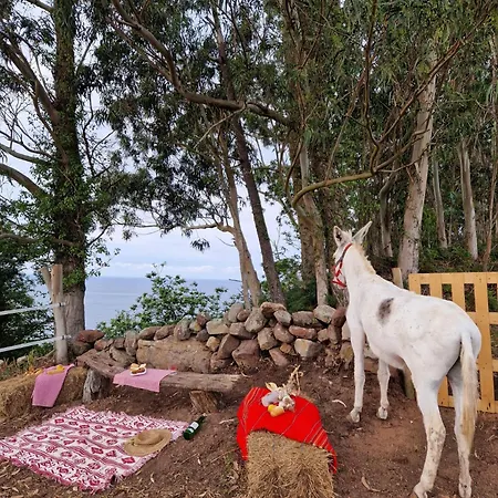 El Piensu Agroturismo *
